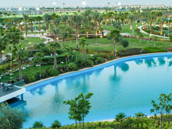 Water Pool at Violet Damac Hills 2