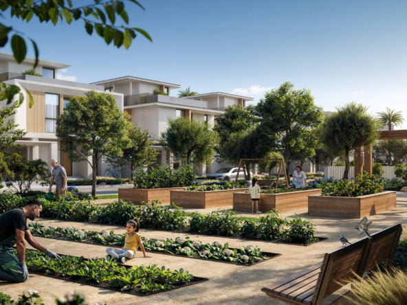 Farm Grove at The Valley, Dubai - Emaar Properties